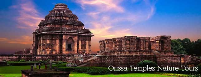 Orissa Temples Nature Tours