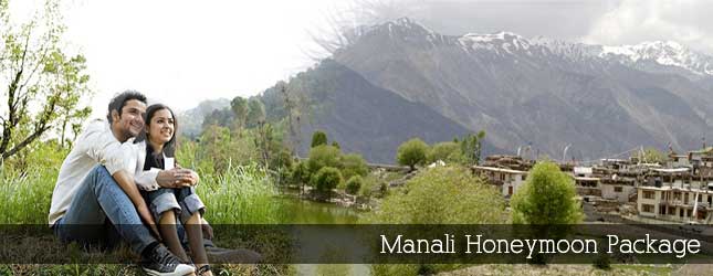Manali Honeymoon Package